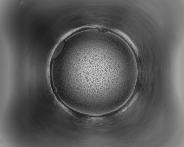 X0000087671335200705111150