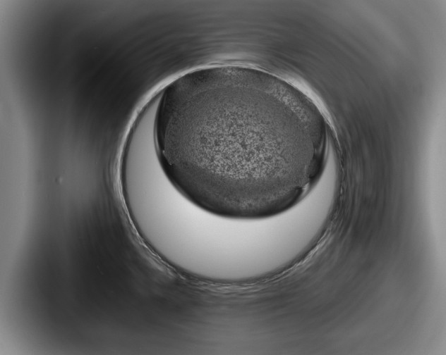 X0000087671336200705111150