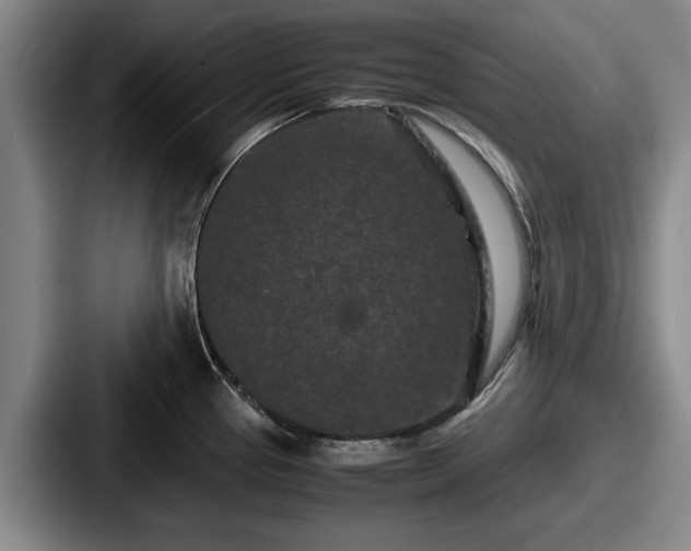 X0000087671337200705111150