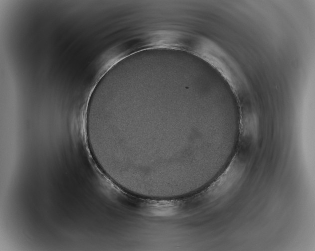 X0000087671338200705111150