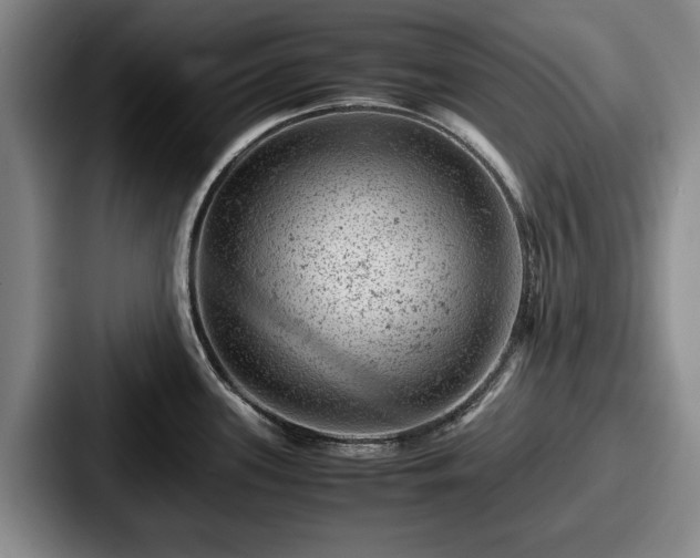 X0000087671339200705111150