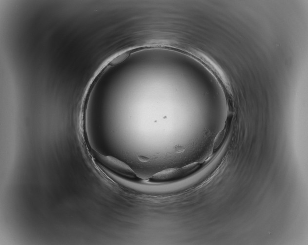 X0000087671340200705111150