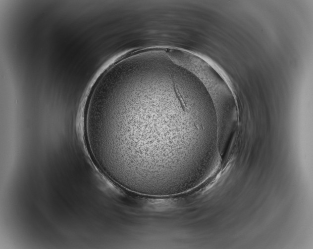 X0000087671341200705111150