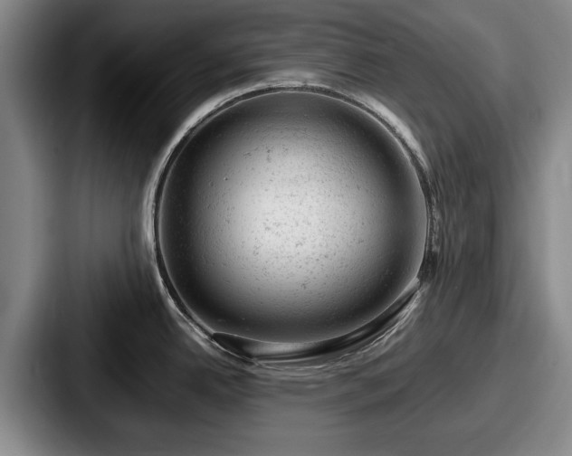 X0000087671342200705111150