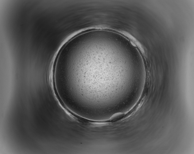 X0000087671343200705111150