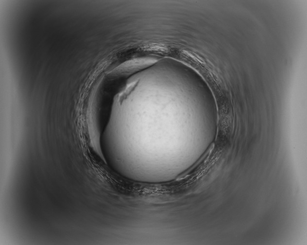 X0000087671345200705111149