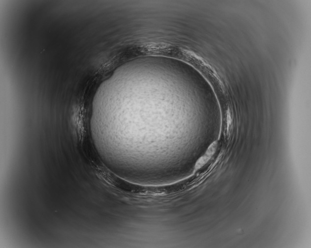 X0000087671346200705111149