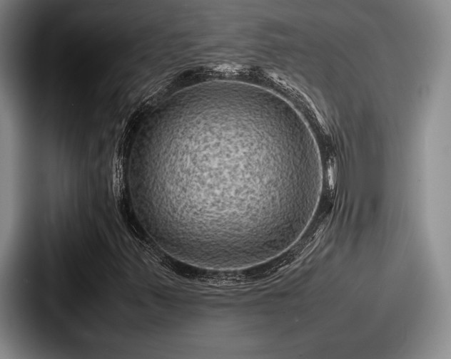 X0000087671347200705111149