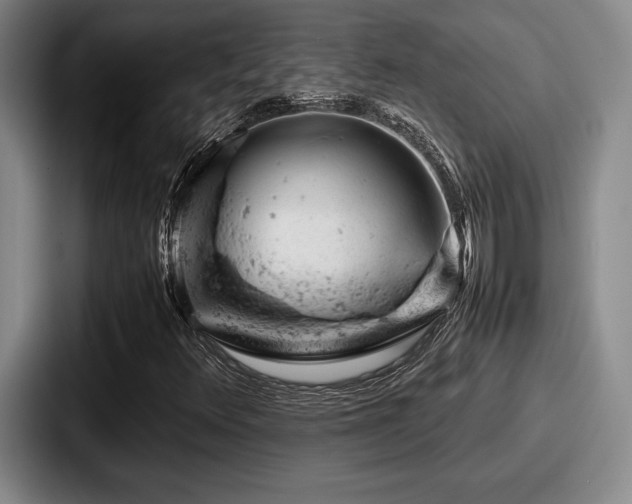 X0000087671348200705111149