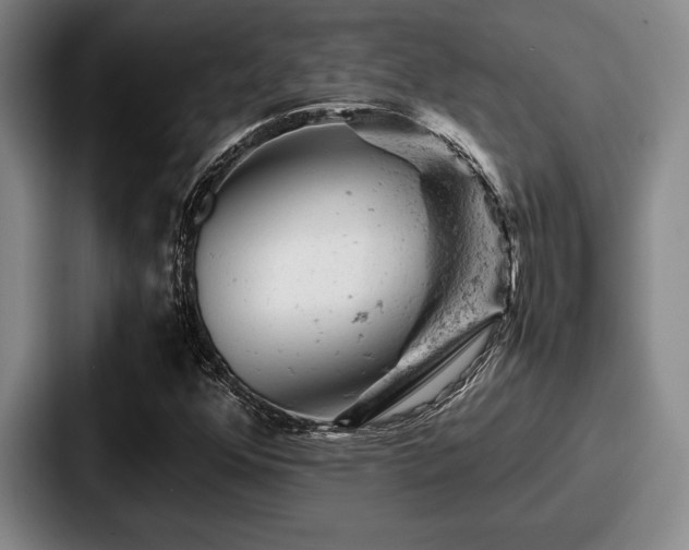 X0000087671352200705111149