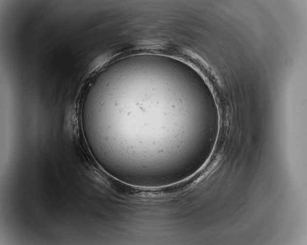 X0000087671354200705111149