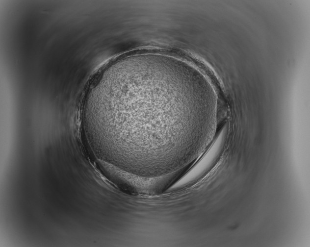 X0000087671355200705111149