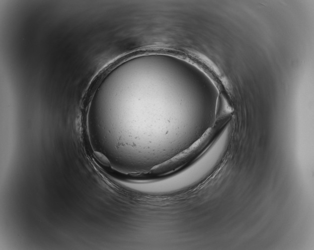 X0000087671356200705111149