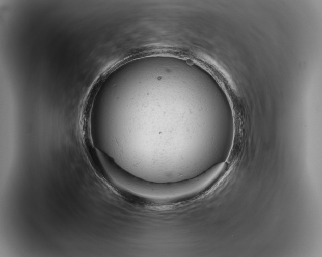 X0000087671357200705111149