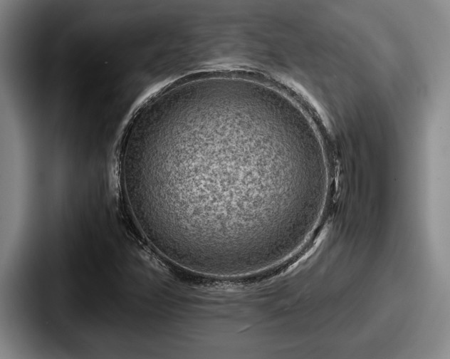 X0000087671358200705111149