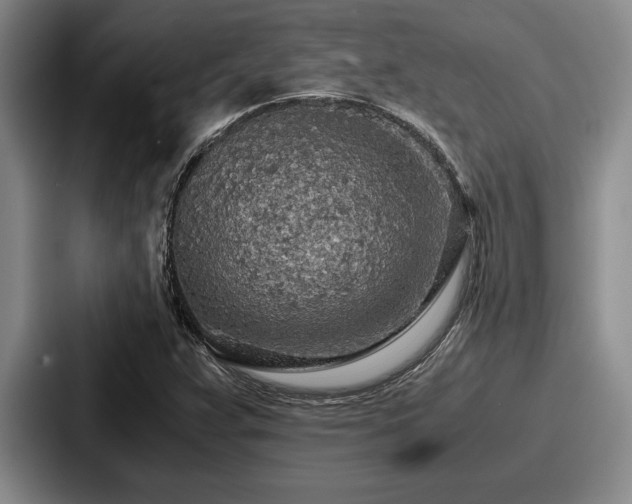 X0000087671359200705111149