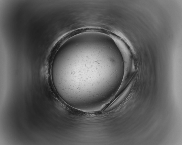 X0000087671360200705111149