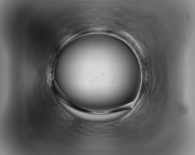 X0000087671361200705111149