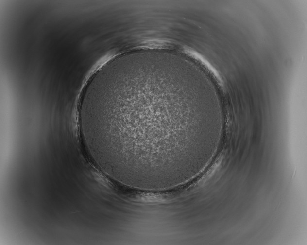 X0000087671362200705111149