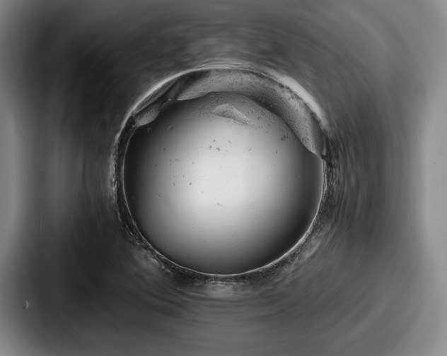 X0000087671364200705111149