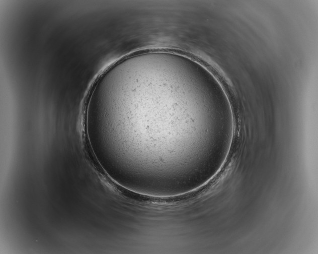 X0000087671366200705111149