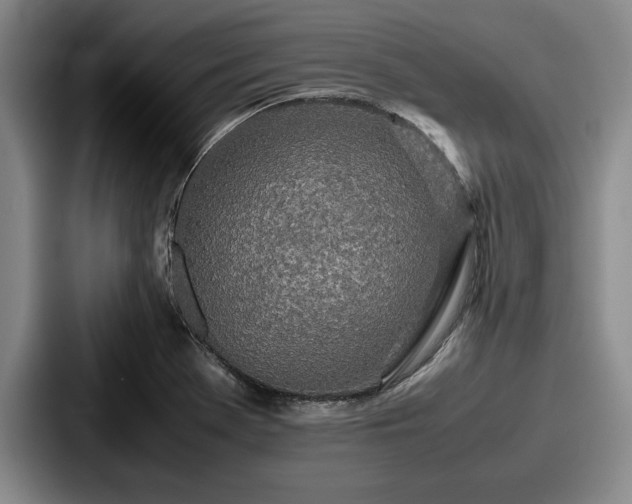 X0000087671369200705111149