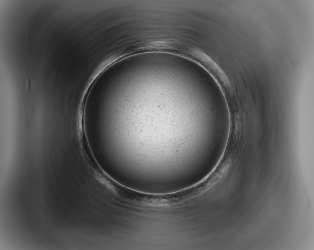 X0000087671370200705111149