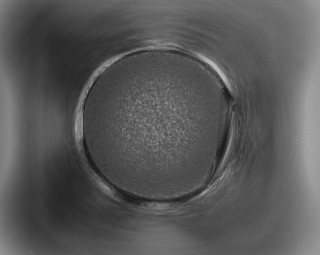 X0000087671371200705111149