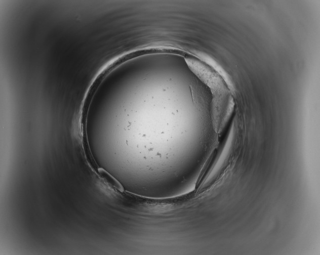 X0000087671372200705111149