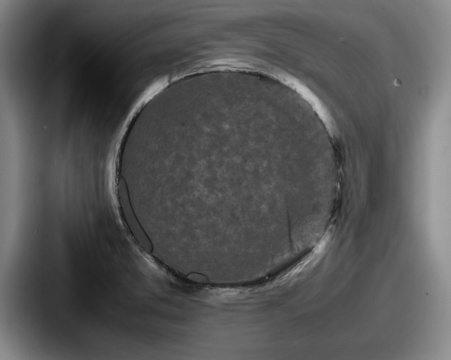 X0000087671373200705111149