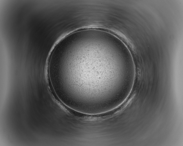 X0000087671374200705111149