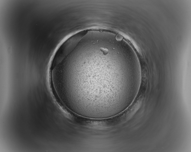 X0000087671375200705111149