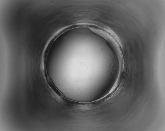 X0000087671376200705111149