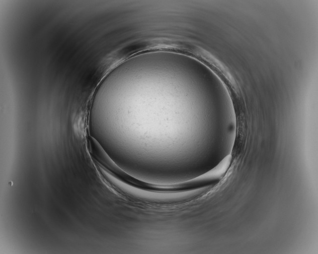 X0000087671377200705111149