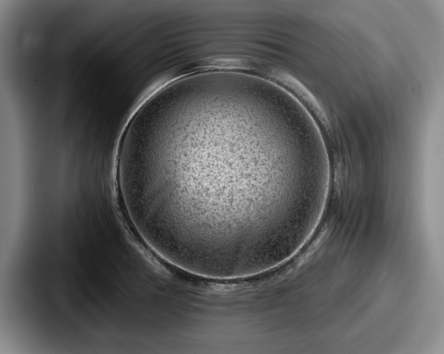 X0000087671378200705111149