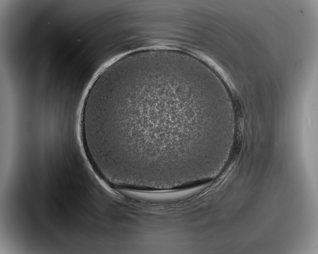 X0000087671379200705111149