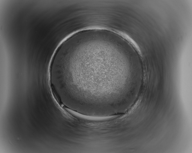 X0000087671380200705111149