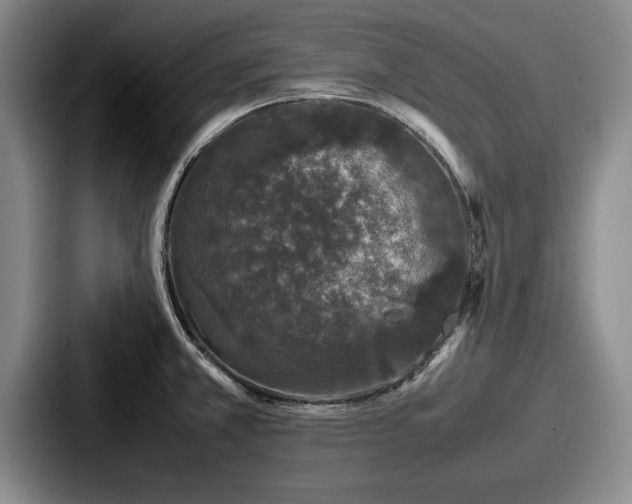 X0000087671381200705111149