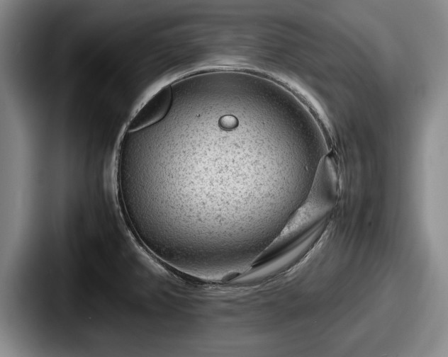 X0000087671382200705111149