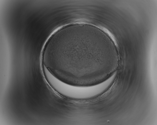 X0000087671384200705111149