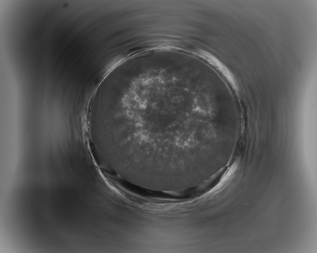 X0000087671385200705111149