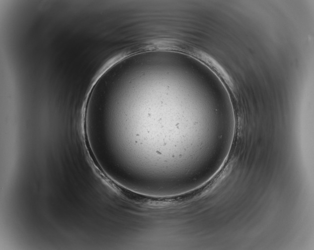 X0000087671386200705111149