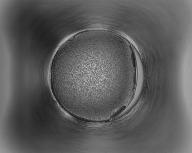 X0000087671387200705111149