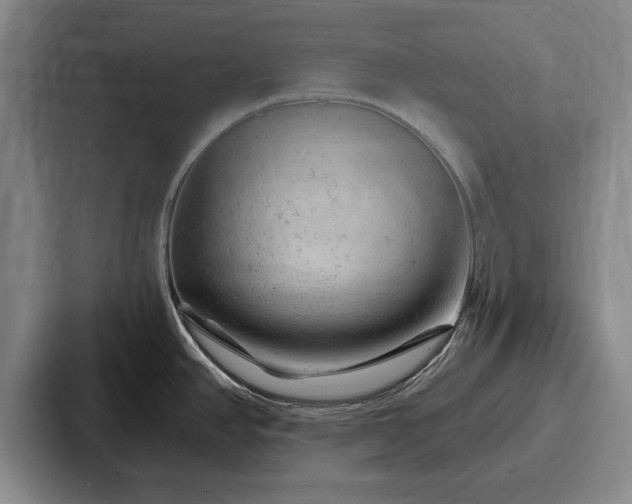 X0000087671390200705111149