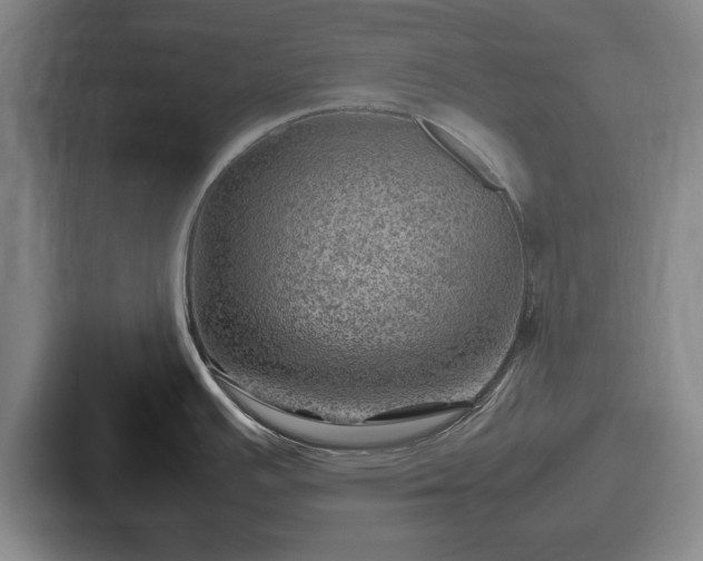 X0000087671391200705111149