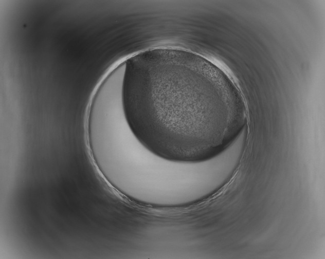 X0000087671392200705111149