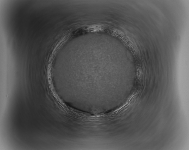 X0000087671393200705111148