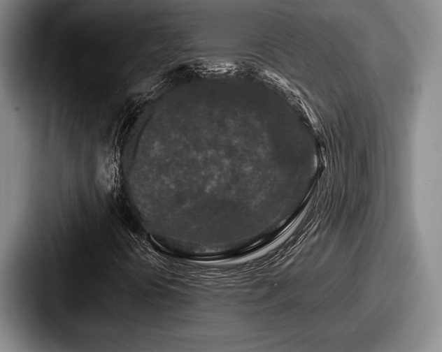 X0000087671394200705111148