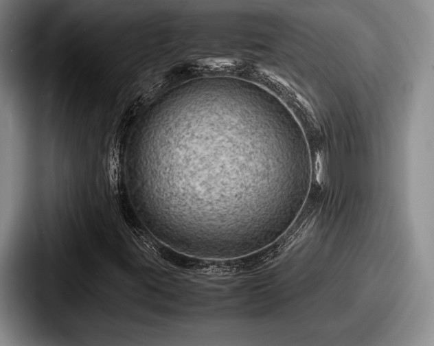 X0000087671395200705111148