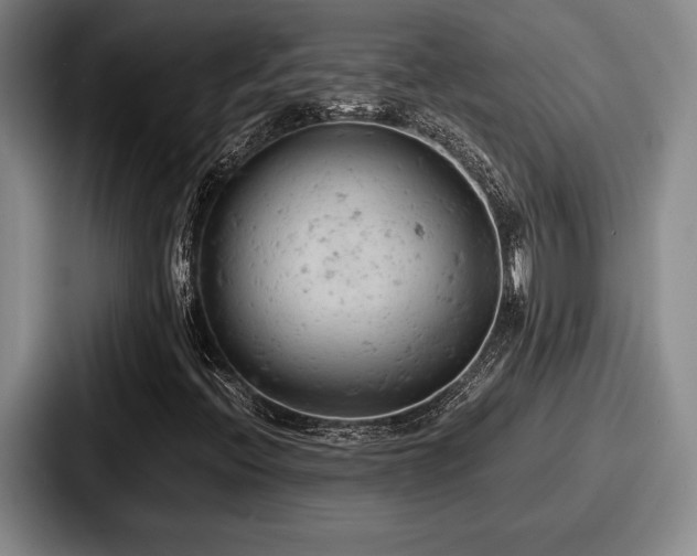 X0000087671396200705111148